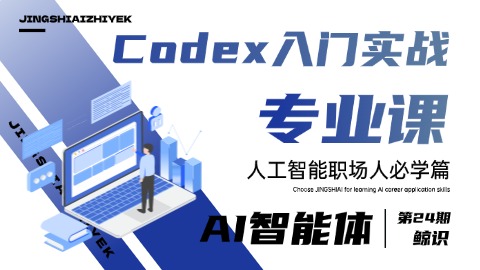 Codex入门实战专业课